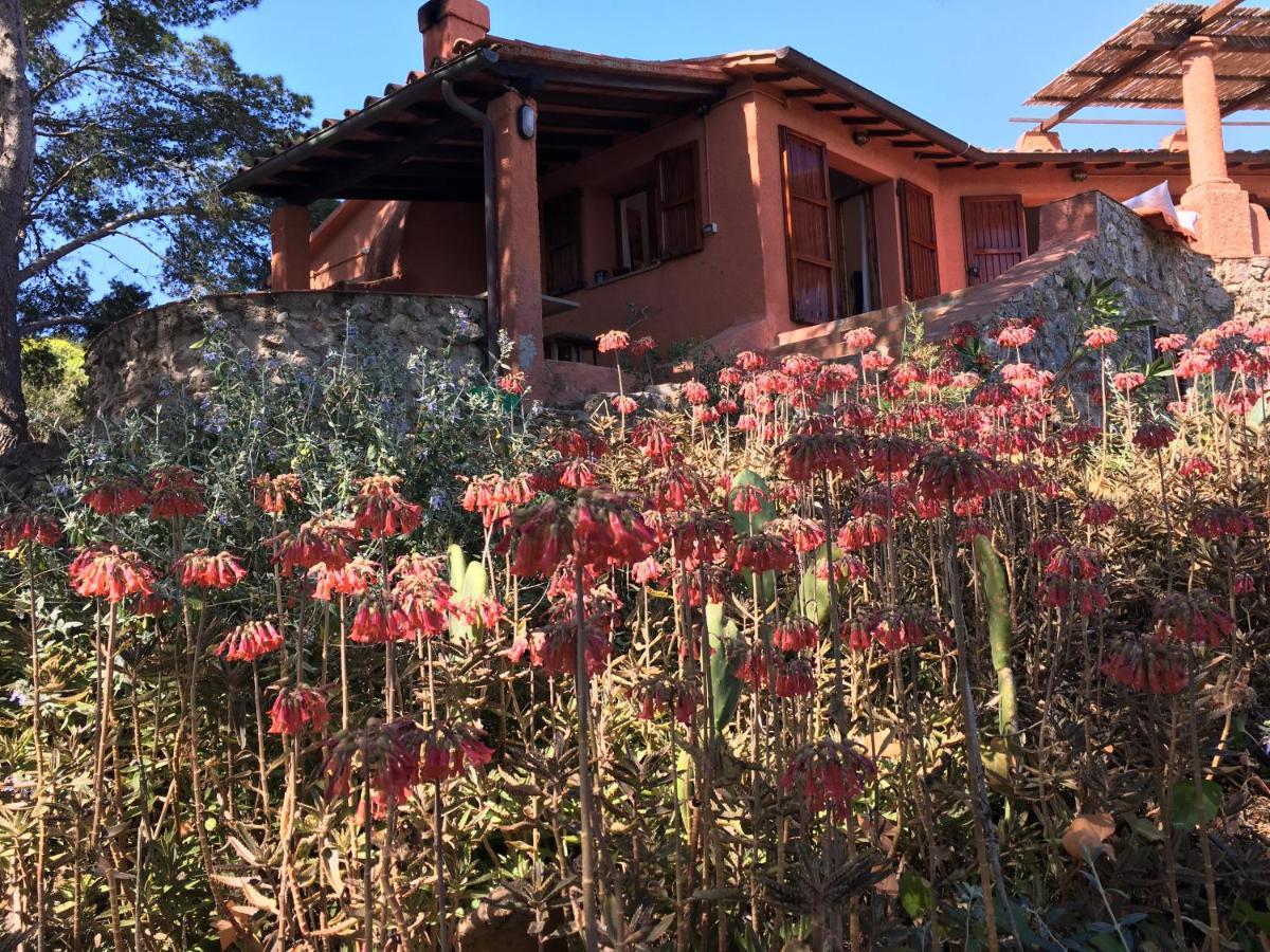 Casa Diana Bed & Breakfast Isola di Giannutri Exterior photo