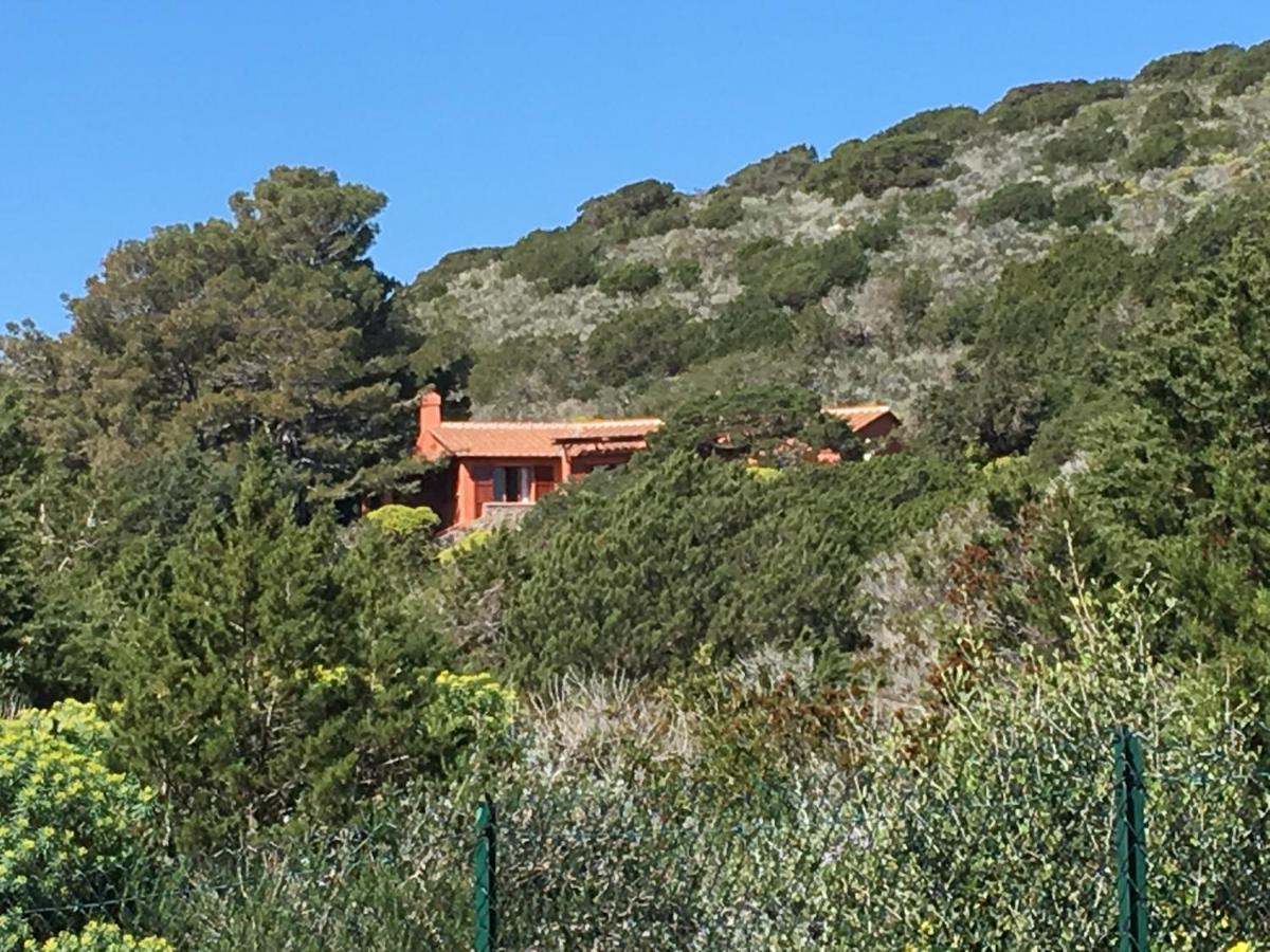 Casa Diana Bed & Breakfast Isola di Giannutri Exterior photo